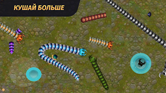 Game screenshot Змейка Онлайн: Игра червячки apk download