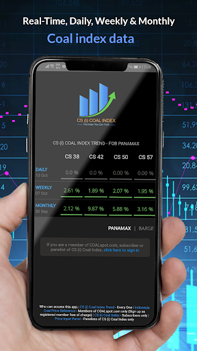 CS (i) Coal Index Screen 2