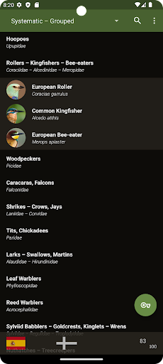 Little Bird Guide Aves Europe