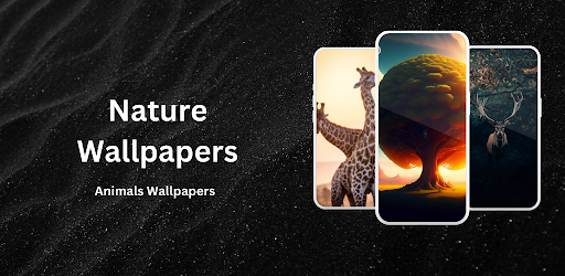 Nature Wild Wallpaper 4K Screen 2