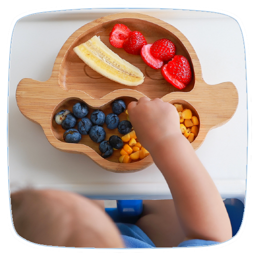 Baby Led Weaning Guide logo