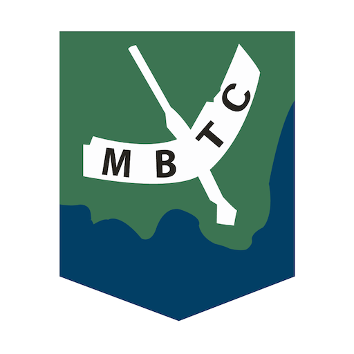 Minas Brasília logo