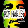 Bob Marley - Complete discography 1967-2002 (Rare)