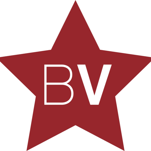 Bon Voyage Travel logo