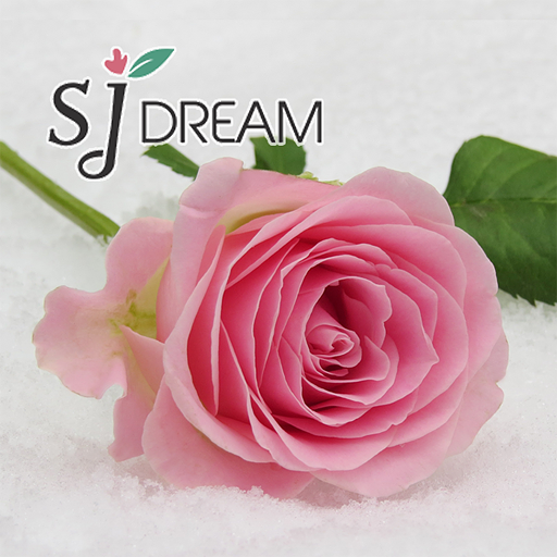 SJ드림 logo