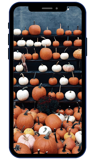 Android application Pumpkin Wallpapers screenshort