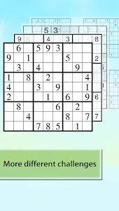 Sudoku : Brain Teasers