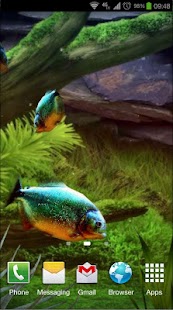 Piranha Aquarium 3D lwp-screenshot
