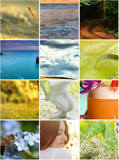 Summer Wallpapers Screenshot 4 - AppWisp.com