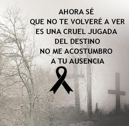 Frases de Luto y Duelo