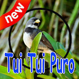 Coleiro Tui Tui Puro Complete New icon