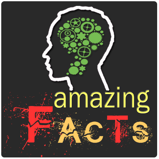 Amazing facts  Icon