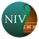NIV Cultural Backgrounds SB icon