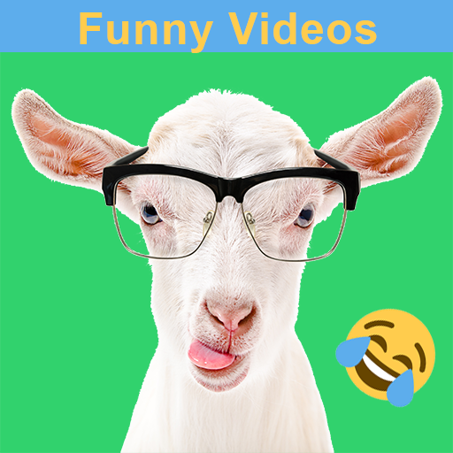 Funny Animal Videos!!