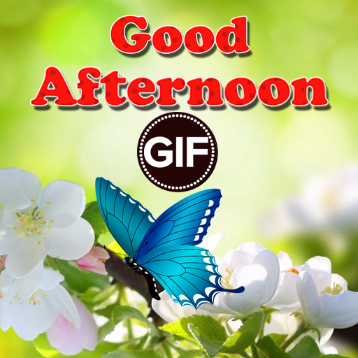 Good Afternoon Gif - Apps on Google Play