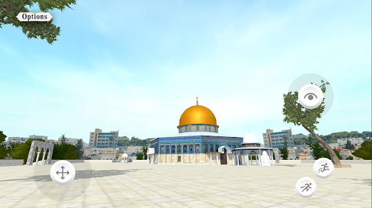 Meta Mosque