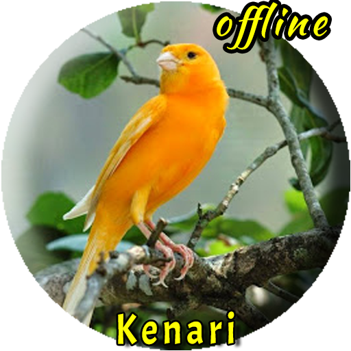 Suara Burung Kenari  Offline  Icon