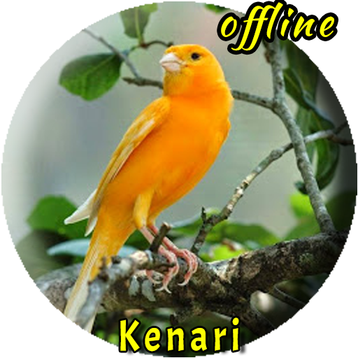 Suara Burung Kenari  Offline Scarica su Windows