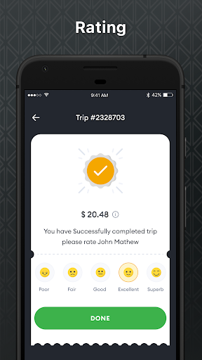 IR Taxi Driver screenshot 6