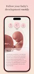 screenshot of Preglife - Pregnancy Tracker