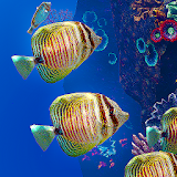 Ocean Aquarium icon