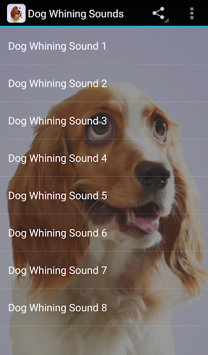 Dog Whining Sounds Screenshot 2 - AppWisp.com