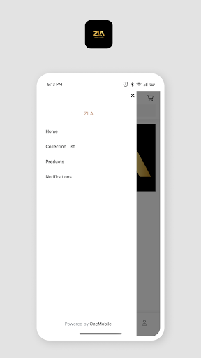 ZLA Screen 2