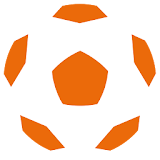 Denmark Football League icon