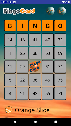 Bingo Card - Screenshot 1
