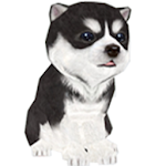Puppy - Please take care of the dog on the screen. Apk