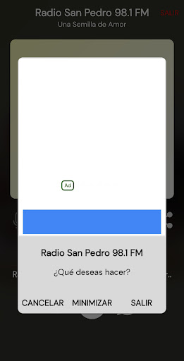 Radio San Pedro 98.1 FM Screen 3
