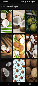 Coconut Wallpaper