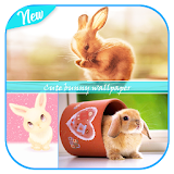 Cute bunny wallpaper icon