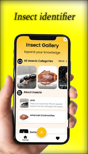 Android application Bug id & Insect Identification screenshort
