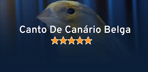 Canto De Canário Belga