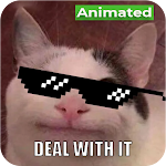 Cover Image of डाउनलोड Animated Cat Memes - WASticker  APK