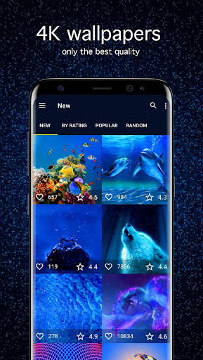 Android application Blue Wallpapers 4K screenshort
