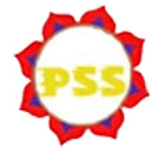 PSSTORE icon