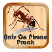 Ants On Phone Prank
