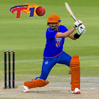 Крикет игры 2020: играть в живую крикет T10