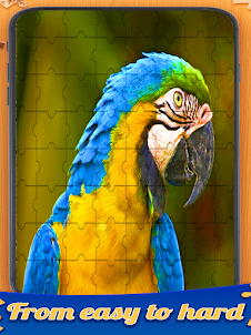 Birds Jigsaw Puzzles Game