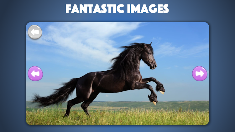 Horse and Pony jigsaw puzzles - 2024.43 - (Android)