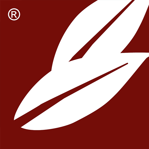 PizzaNET logo