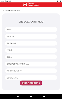 MAIER Consultants screenshot 9