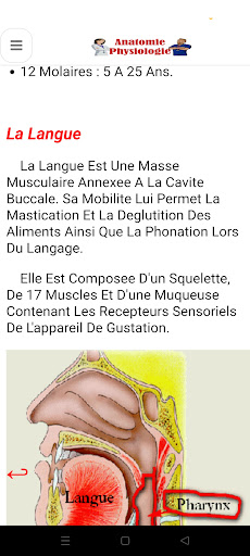 Anatomy - Physiology screenshot 5