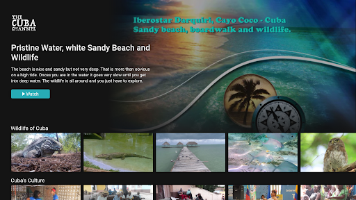 App preview