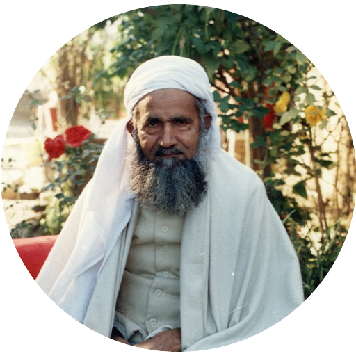 Dar ul Faizan - Silsila Owaisi logo