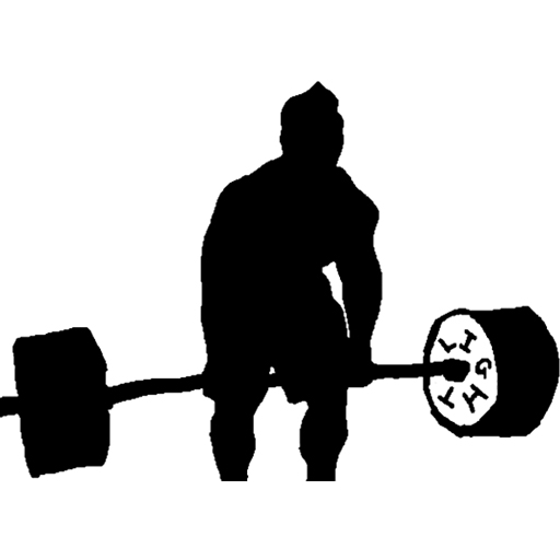 HeavyLog - Fitness Recorder, N logo