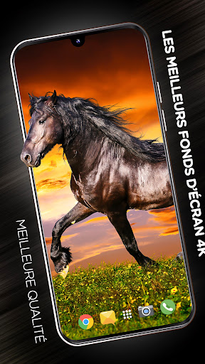 Aperçu de l'application