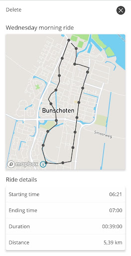 Batavus Smart Screen 2